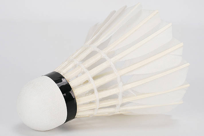 比赛训练用羽毛球室内户外鹅毛球耐打王学生12只装练习球 比赛训练用羽毛球室内户外鹅毛球耐打王学生12只装练习球