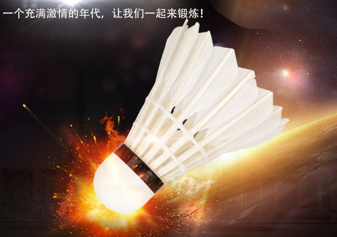 比赛训练用羽毛球室内户外鹅毛球耐打王学生12只装练习球 比赛训练用羽毛球室内户外鹅毛球耐打王学生12只装练习球