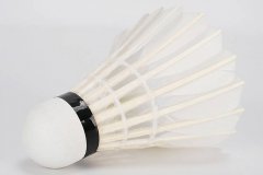 比赛训练用羽毛球室内户外鹅毛球耐打王学生12只装练习球