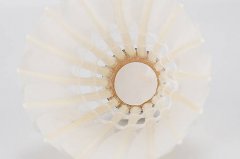 比赛训练用羽毛球室内户外鹅毛球耐打王学生12只装练习球