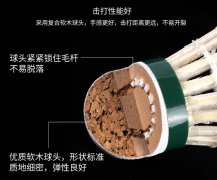 比赛训练用羽毛球室内户外鹅毛球耐打王学生12只装练习球