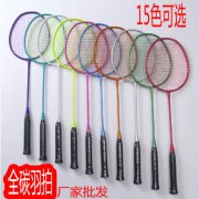 全碳素纤维球拍耐打超轻业余初级男女中学生训练羽毛球拍单拍