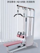 高低拉训练器女子塑形背肌训练器材私教工作室用高低拉训练器